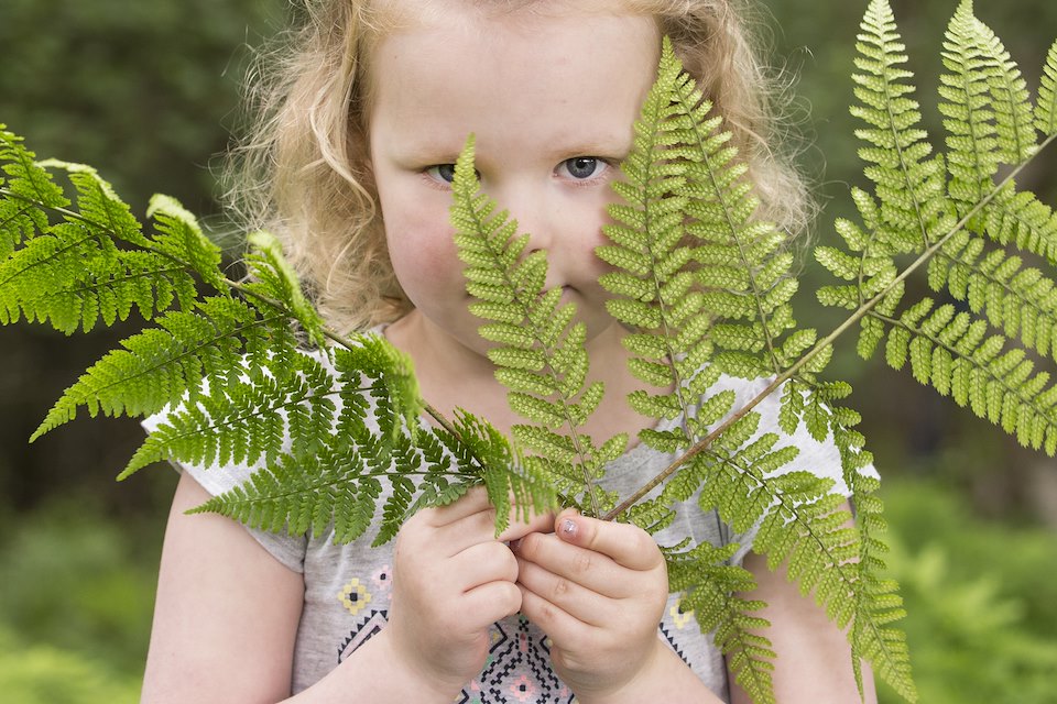 Young girl playing in woodland as part of "Mucky Boots" forest Kindergarten group, Aberdeen, Scotland.(MR available)