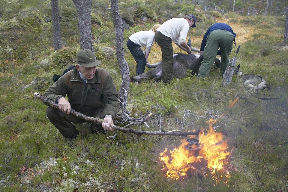 Hunter Hans Stavn, prepares a fire for coffee during annual elk hunt held in September. Flatanger, Nord-Trondelag, Norway