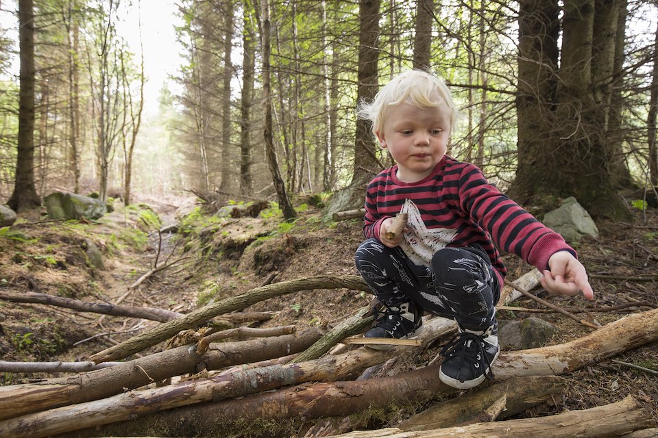 Young boy playing/exploring woodland as part of forest kindergarten session, Mucky Boots, Aberdeen Scotland.MR available Young boy playing/exploring woodland as part of forest kindergarten session, Mucky Boots, Aberdeen Scotland.MR available