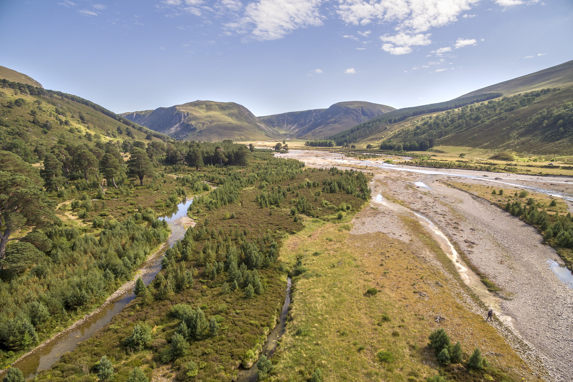 Glenfeshie