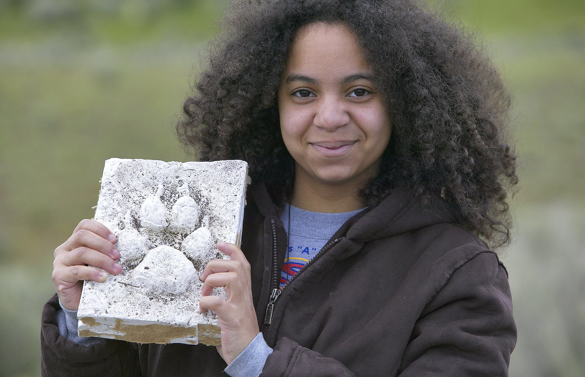 Young wildlife watcher holding up plaster cast of wolf footprint as part of education programme about wolf reintroduction (wolf reintroduction in 1995 has boosted eco-tourism), Yellowstone National Park, USA