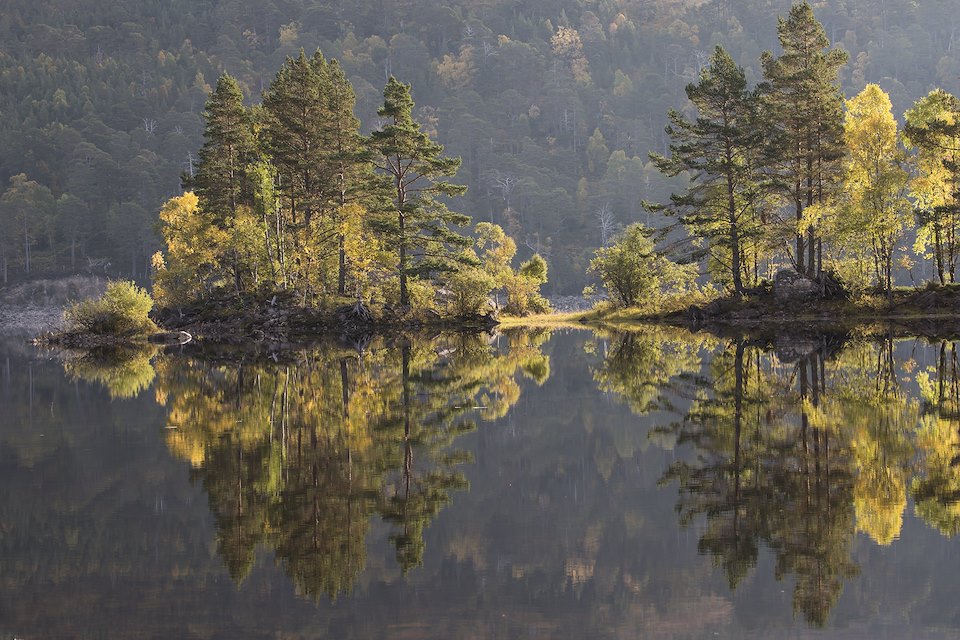 Autumn reflections in Loch Beinn a Mheadhoin, Glen Affric, Scotland.