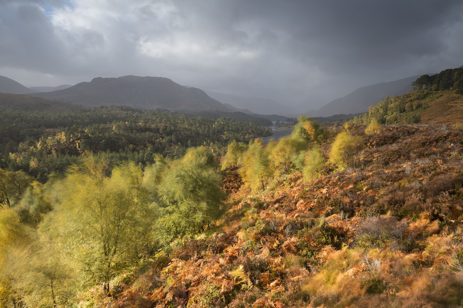 View looking west along Loch Affric to Kintail hills, Glen Affric NNR, Scotland.