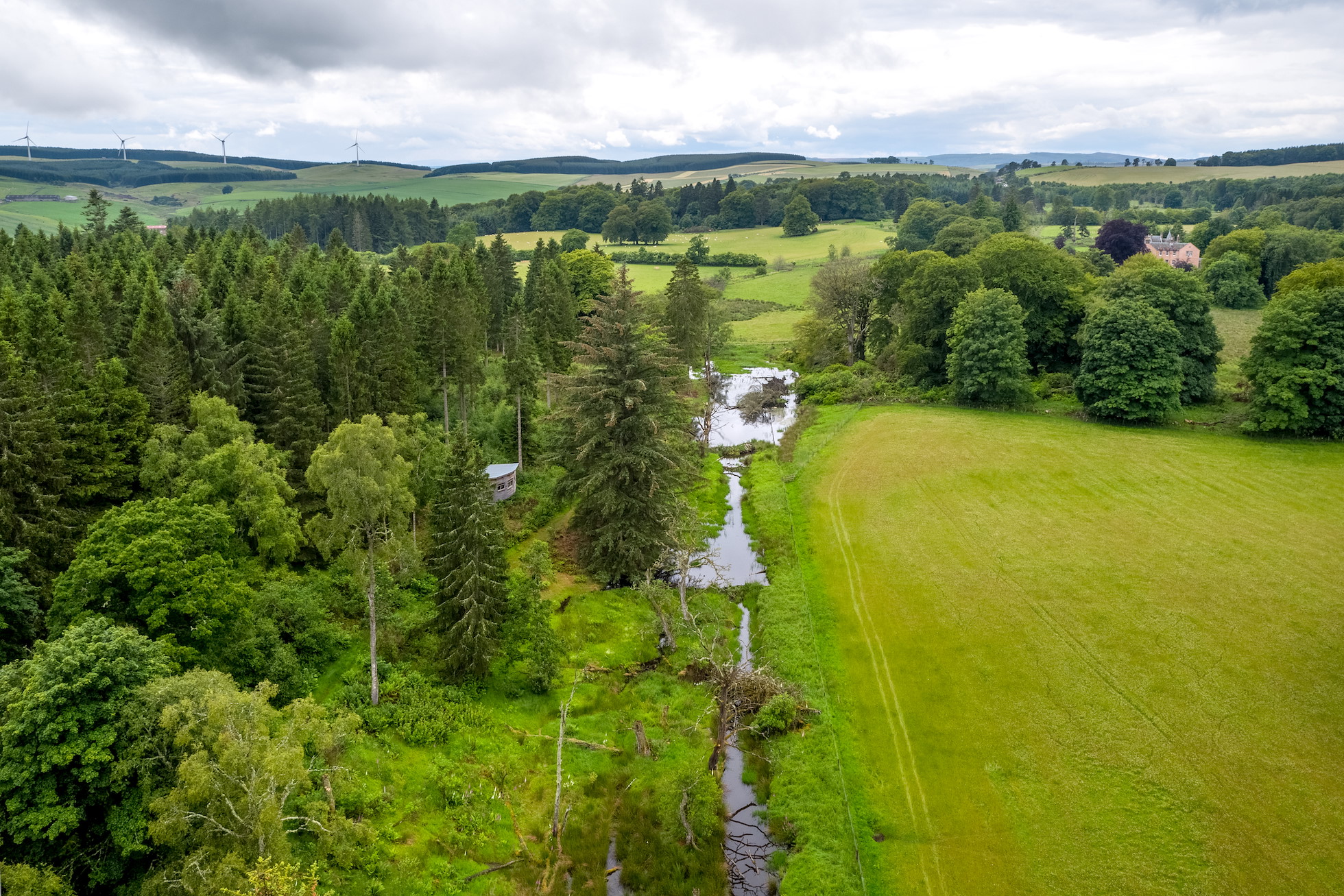 NRN PARTNER: Bamff Wildland NRN PARTNER: Bamff Wildland