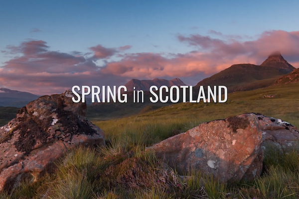 Spring in Scotland
