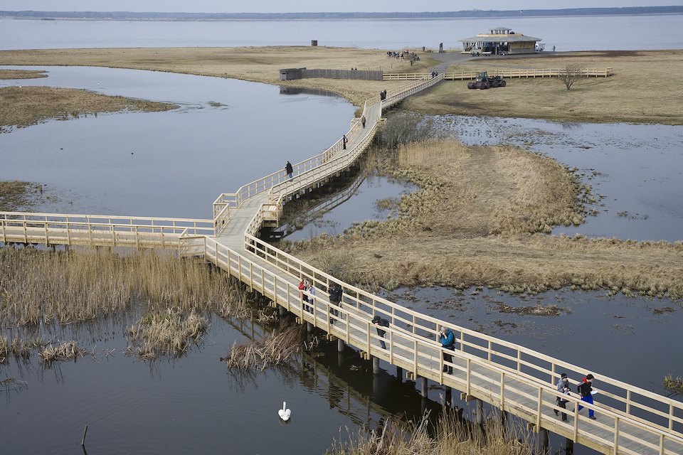 People visiting wetland visitor centre at Lake Hornborga during spring migration of Eurasian Cranes (Grus grus), Sweden.