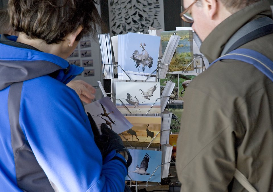 People buying postcards at visitor centre at Lake Hornborga during spring migration of Eurasian Cranes (Grus grus), Sweden.