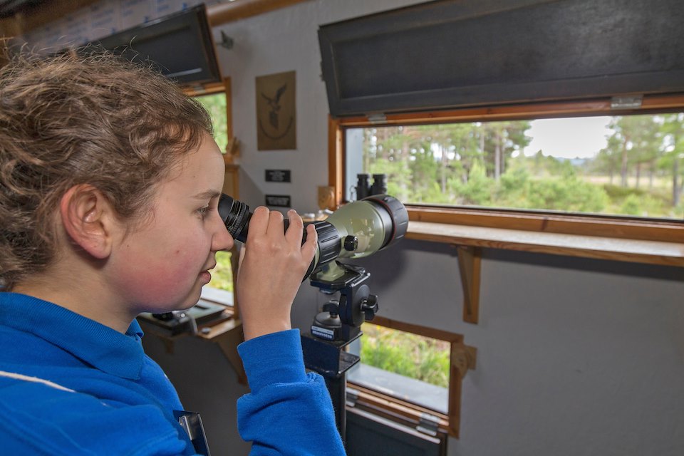 Young woman looking through telescope at osprey nest, Loch Garten Osprey Centre, Boat of Garten, Scotland.