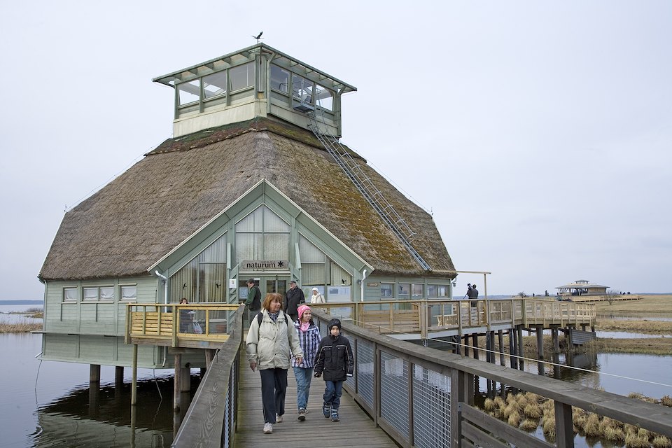 People visiting wetland visitor centre at Lake Hornborga during spring migration of Eurasian Cranes (Grus grus), Sweden.