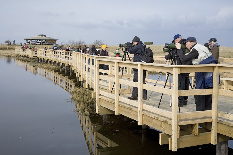 People visiting wetland visitor centre at Lake Hornborga during spring migration of Eurasian Cranes (Grus grus), Sweden.