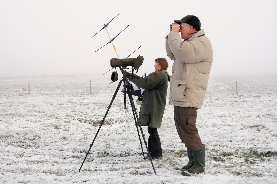 RSPB volunteers Jane Munstermann and Derek Stevenson observing  and radio-tracking Common / Eurasian cranes (Grus grus) released by the Great Crane Project onto the Somerset Levels and moors, on a freezing, foggy winter morning with recent snow on the ground. Somerset, UK, December 2010.