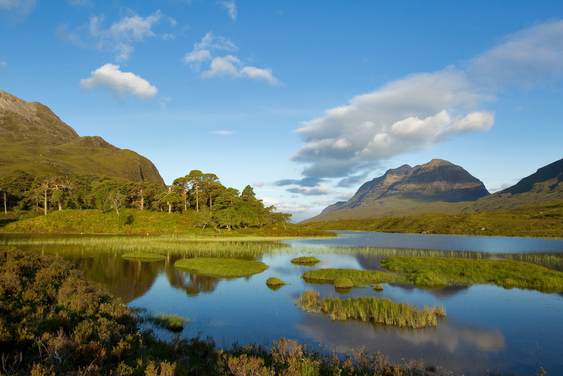Loch Clair and pinewoods with Liathach beyond, Torridon, North-west Scotland