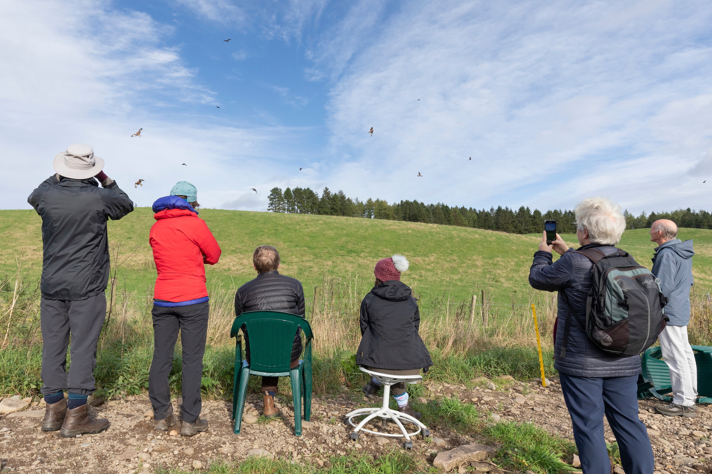 Argaty Red Kites NRN Partner SCOTLAND The Big Picture