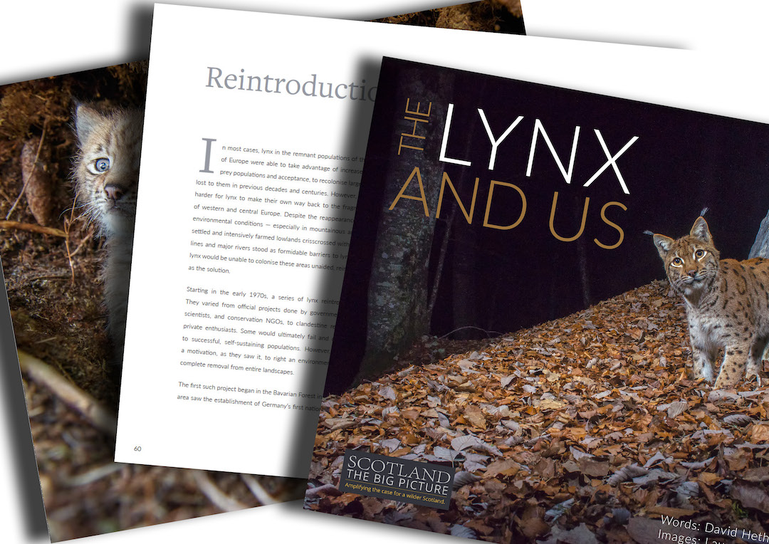 THE LYNX AND US (EBOOK)
