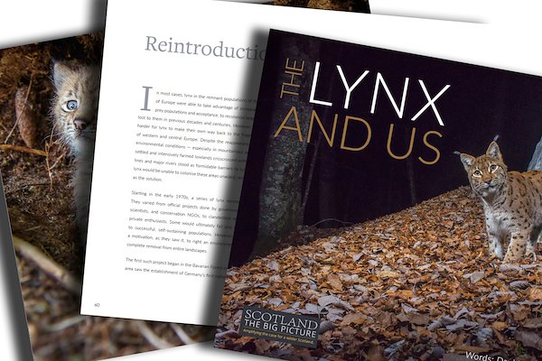 THE LYNX AND US (EBOOK)