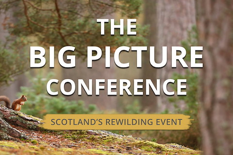 Image illustrating The Big Picture Conference: get your tickets!