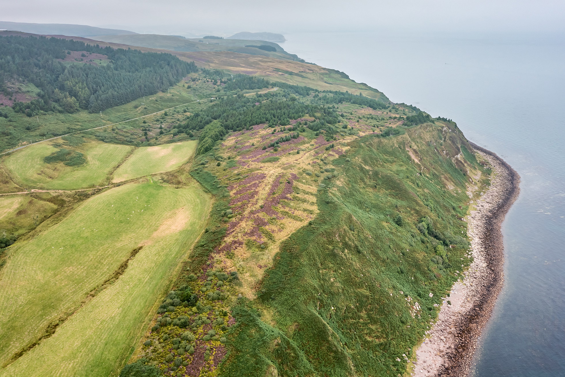 NRN PARTNER: Feochaig Wood NRN PARTNER: Feochaig Wood