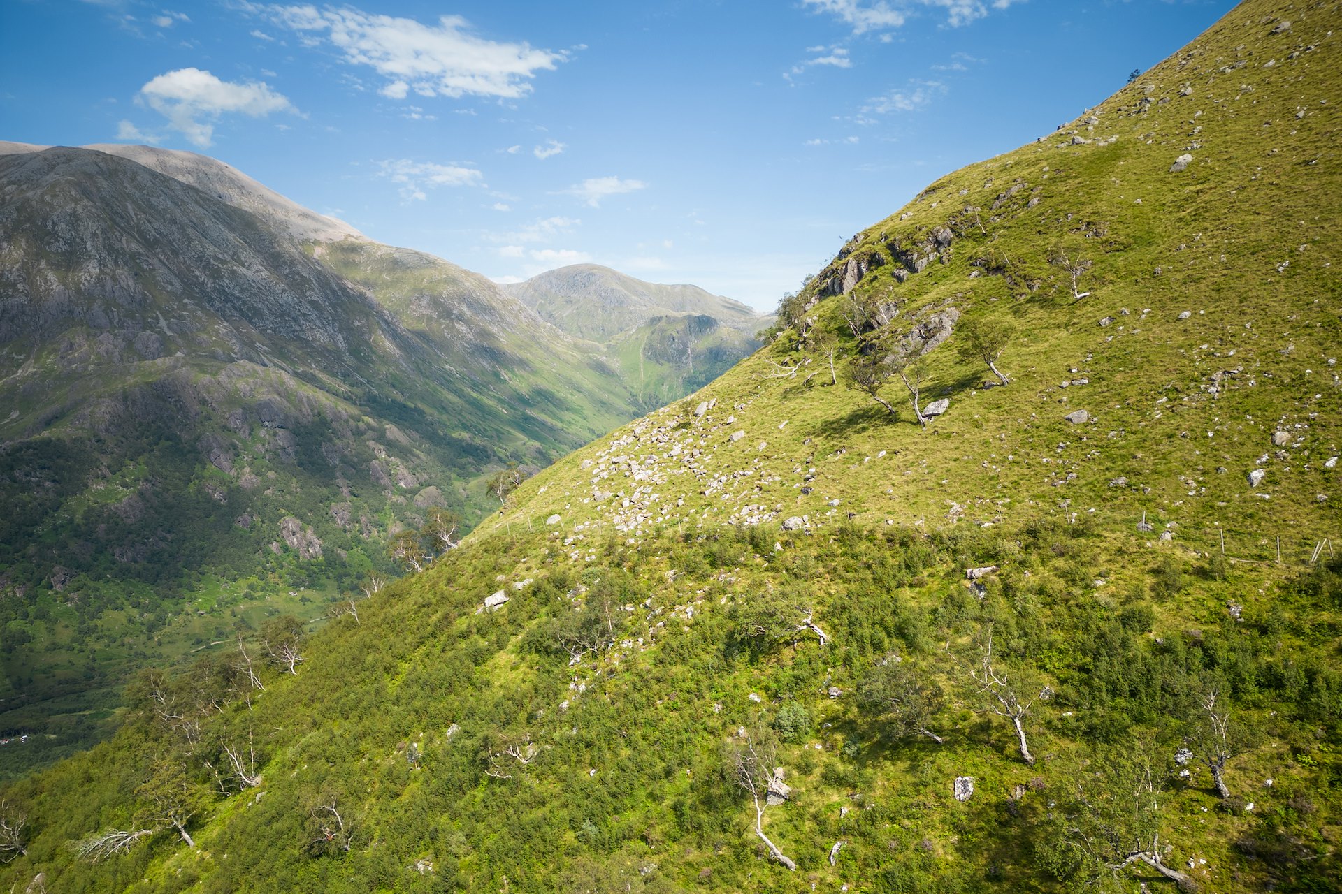 Glen Nevis Estate NRN Partner SCOTLAND The Big Picture