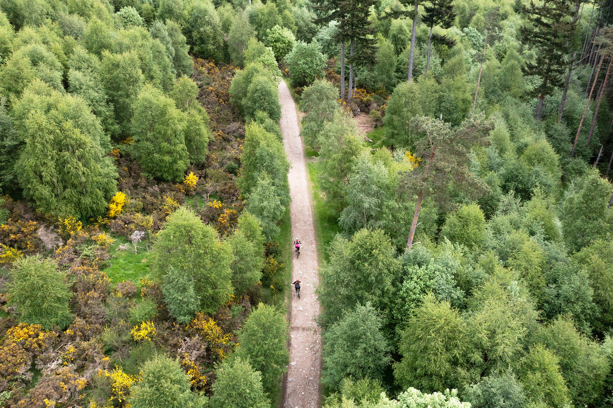 NRN PARTNER: Comrie Croft NRN PARTNER: Comrie Croft