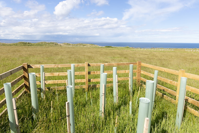 Kinkell Byre