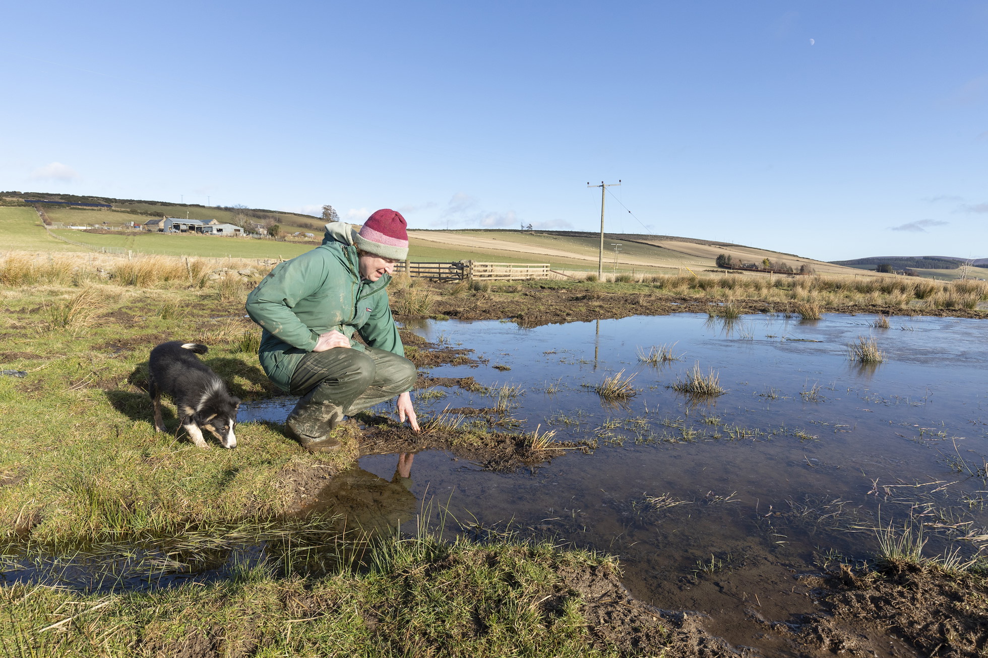 NRN PARTNER: Wark Farm NRN PARTNER: Wark Farm