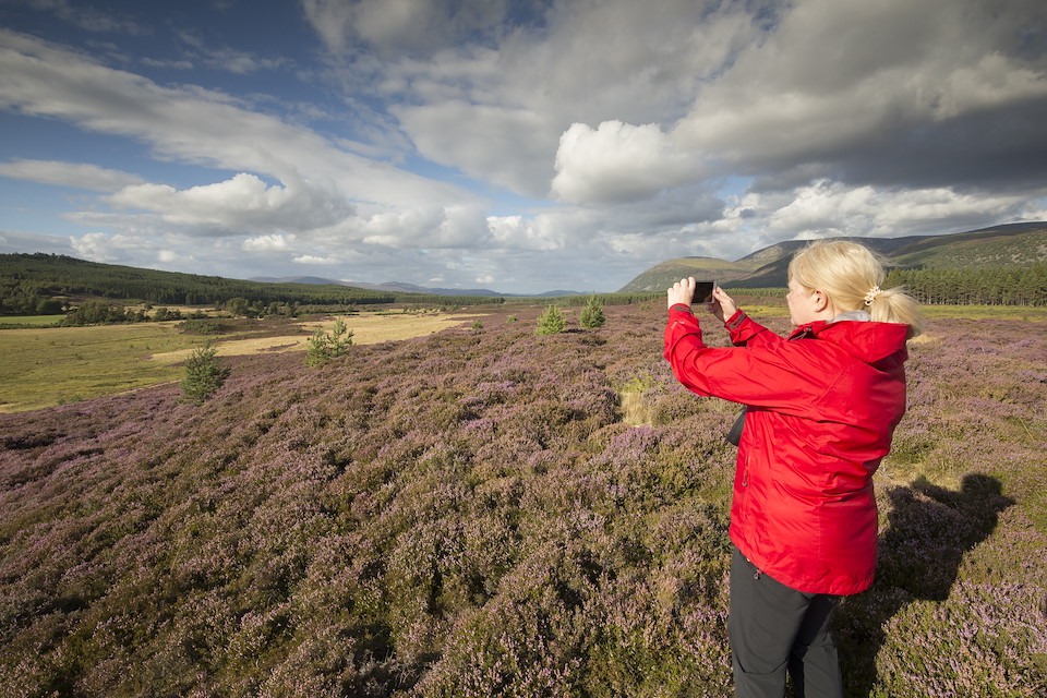 BESPOKE REWILDING JOURNEYS