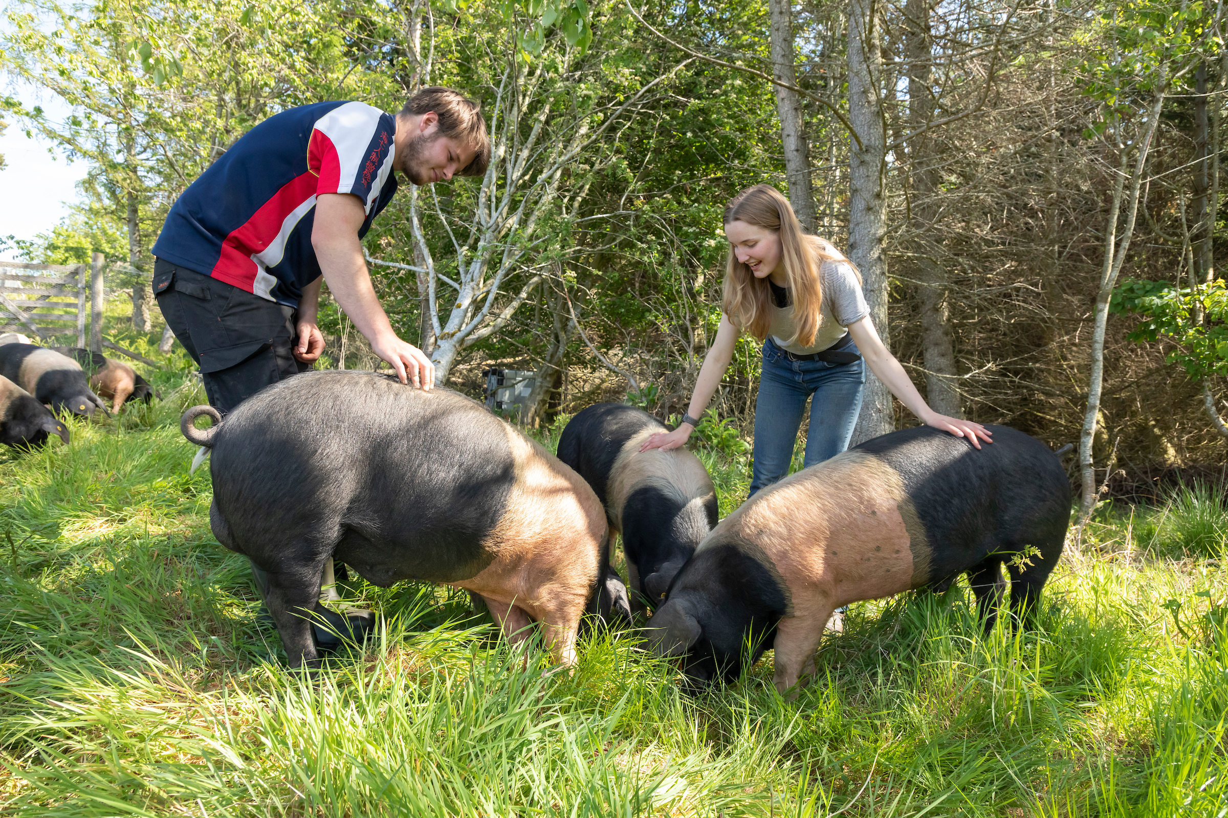 NEW FARMERS IN THE MODERN MARKET