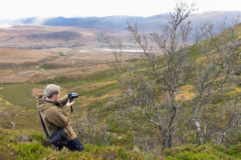 Ecologist, Gus Routledge photographing a high elevation mountain birch in Glen Einich, Cairngorms National Park