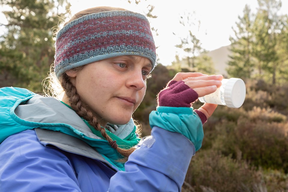 Ecologist, Ellie Dimambro-Denson, recording moth captured in trap as part of monitoring work for Cairngorms Connect, Inshriah Forest
