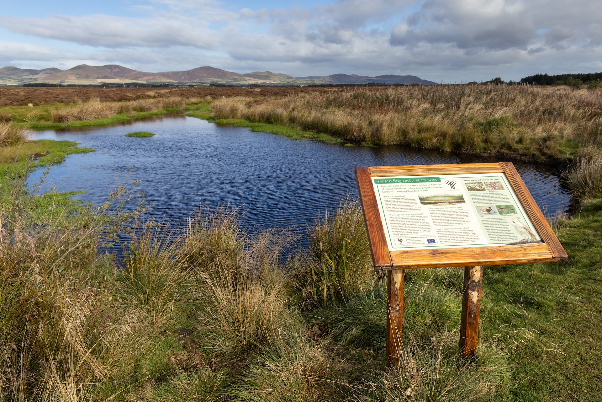 Leadburn Community Woodland NRN Partner SCOTLAND The Big Picture