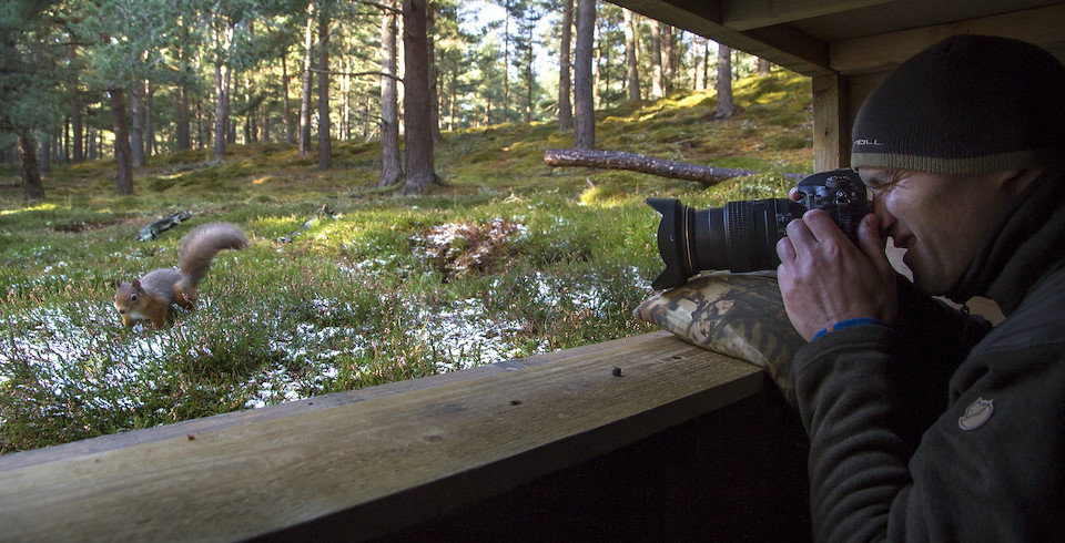 WILD SPACES Enjoy intimate encounters with the best of Scotland&rsquo;s wildlife&nbsp;