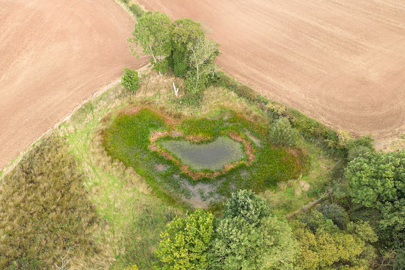 Spott Pond