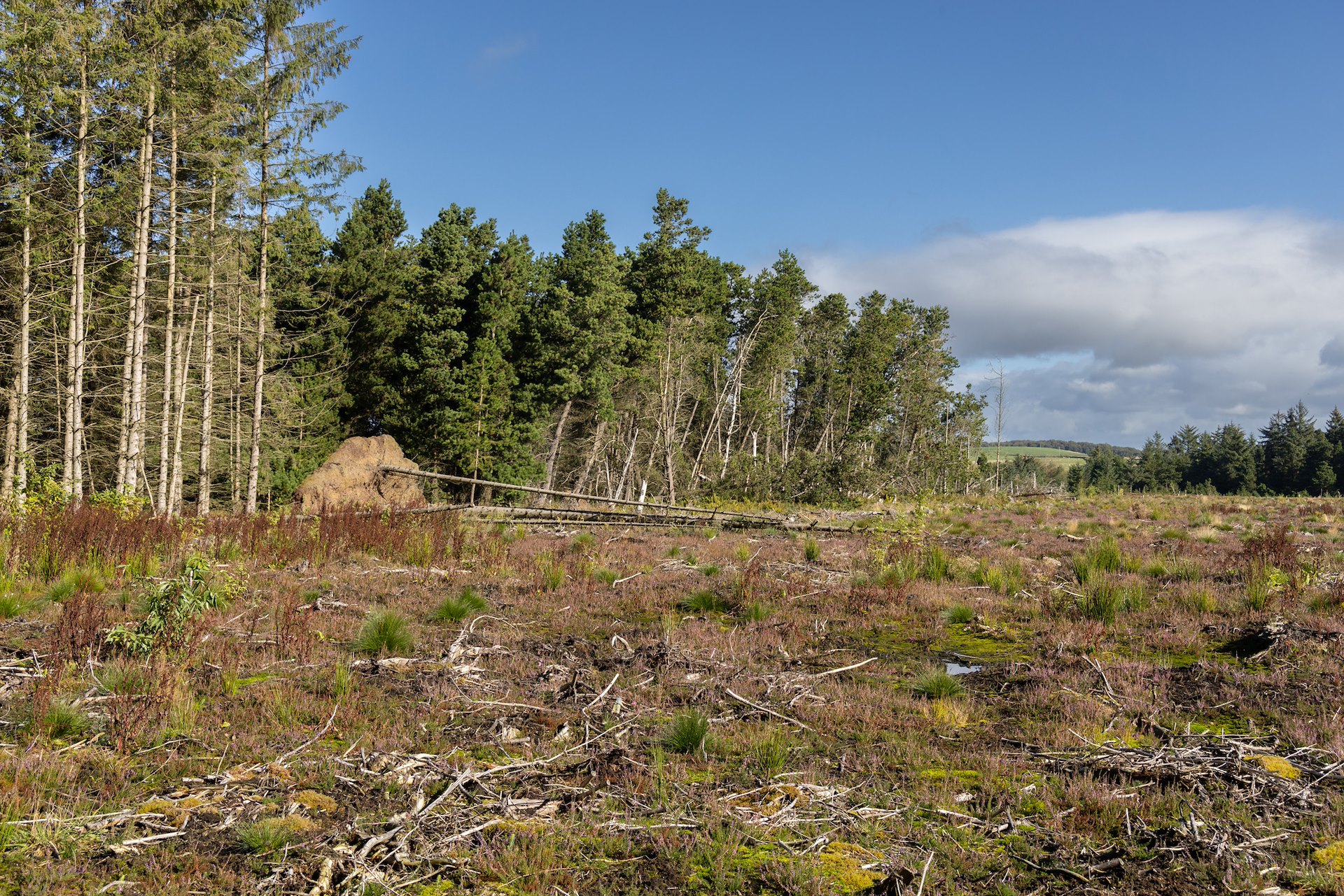 Leadburn Community Woodland NRN Partner SCOTLAND The Big Picture