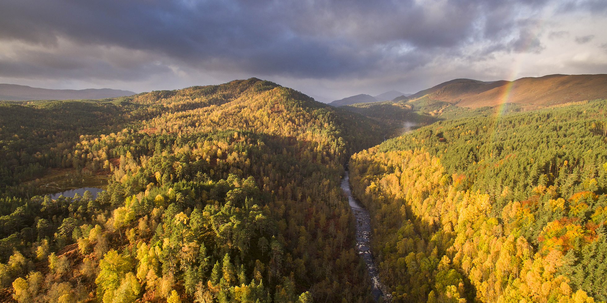 Glen Affric