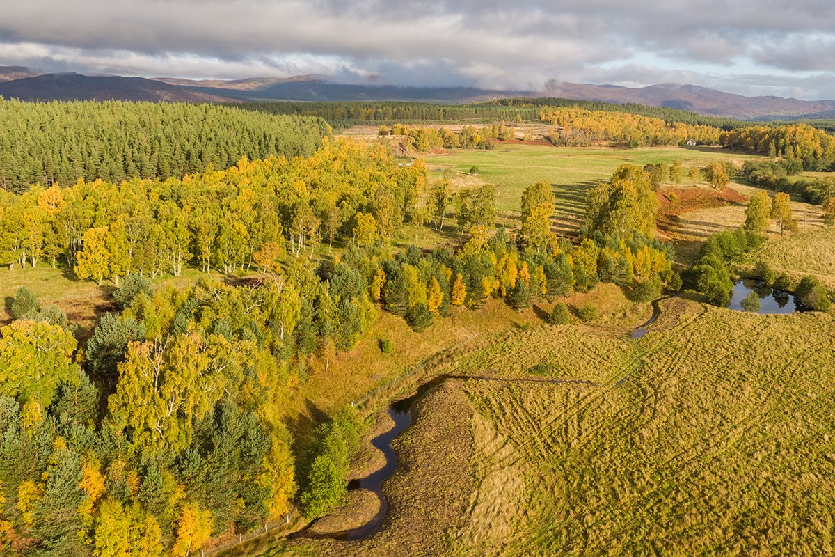 Ballintean Burn