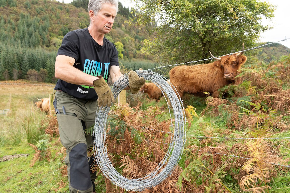 David Stewart, removing fencing to allow cattle to roam freely over croft land, Ardnackaig, Argyll