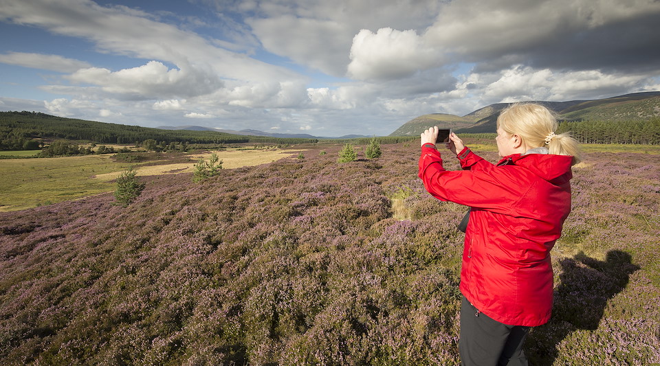 Experience rewilding in the Cairngorms Join us for a Rewilding Journey this summer BOOK YOUR PLACE