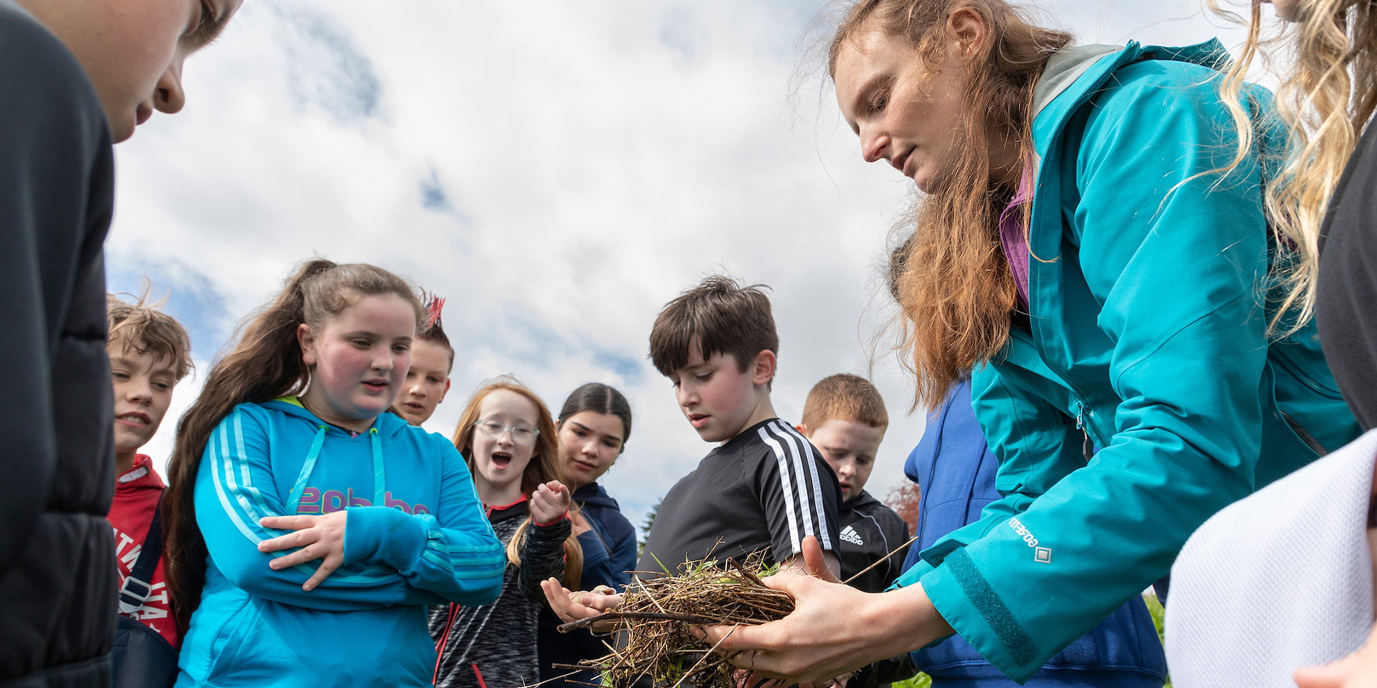 Rewilding Training | SCOTLAND: The Big Picture