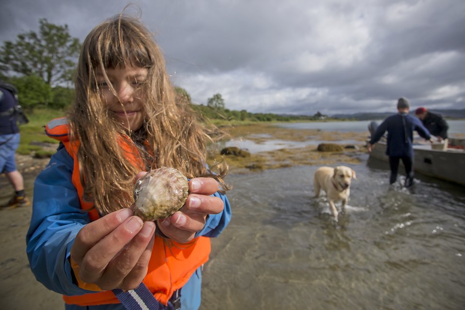 Seawilding Native Oyster Reintroduction. Child from local school looking at Oyster and showing it to camera. Oyster2 year old grown in loch.