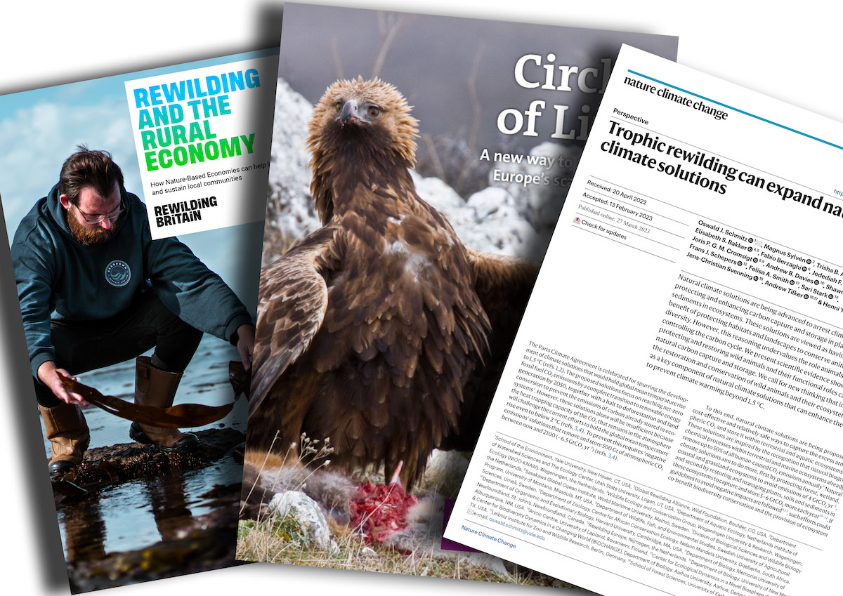 External Publications