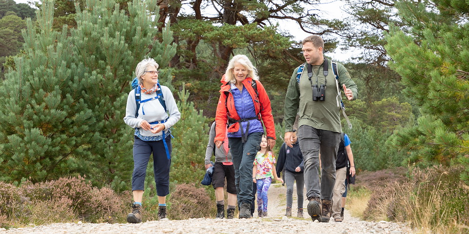 WILD SPACES Learn about rewilding from knowledgeable guides&nbsp;