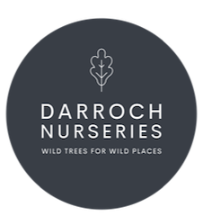 Logo for Darroch Nurseries