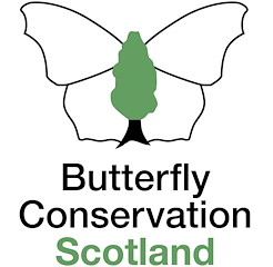 Logo for Butterfly Conservation Scotland