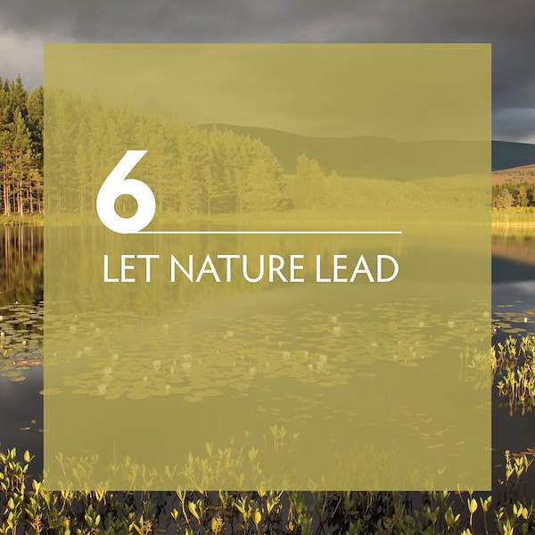 Principle 6