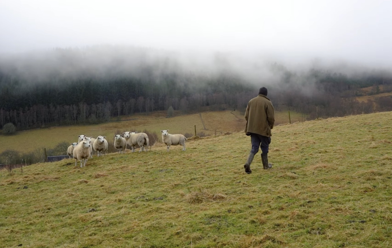 IS SCOTLAND READY FOR LYNX?