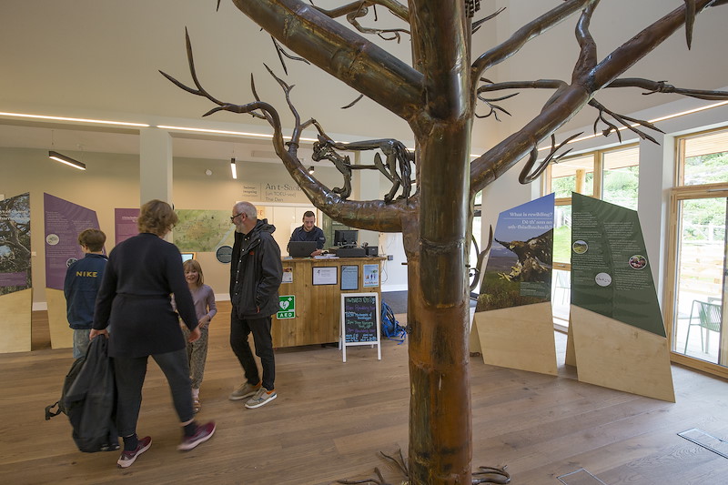 Reception area at the Dundreggan Rewilding Centre, Glenmoriston, Scotland