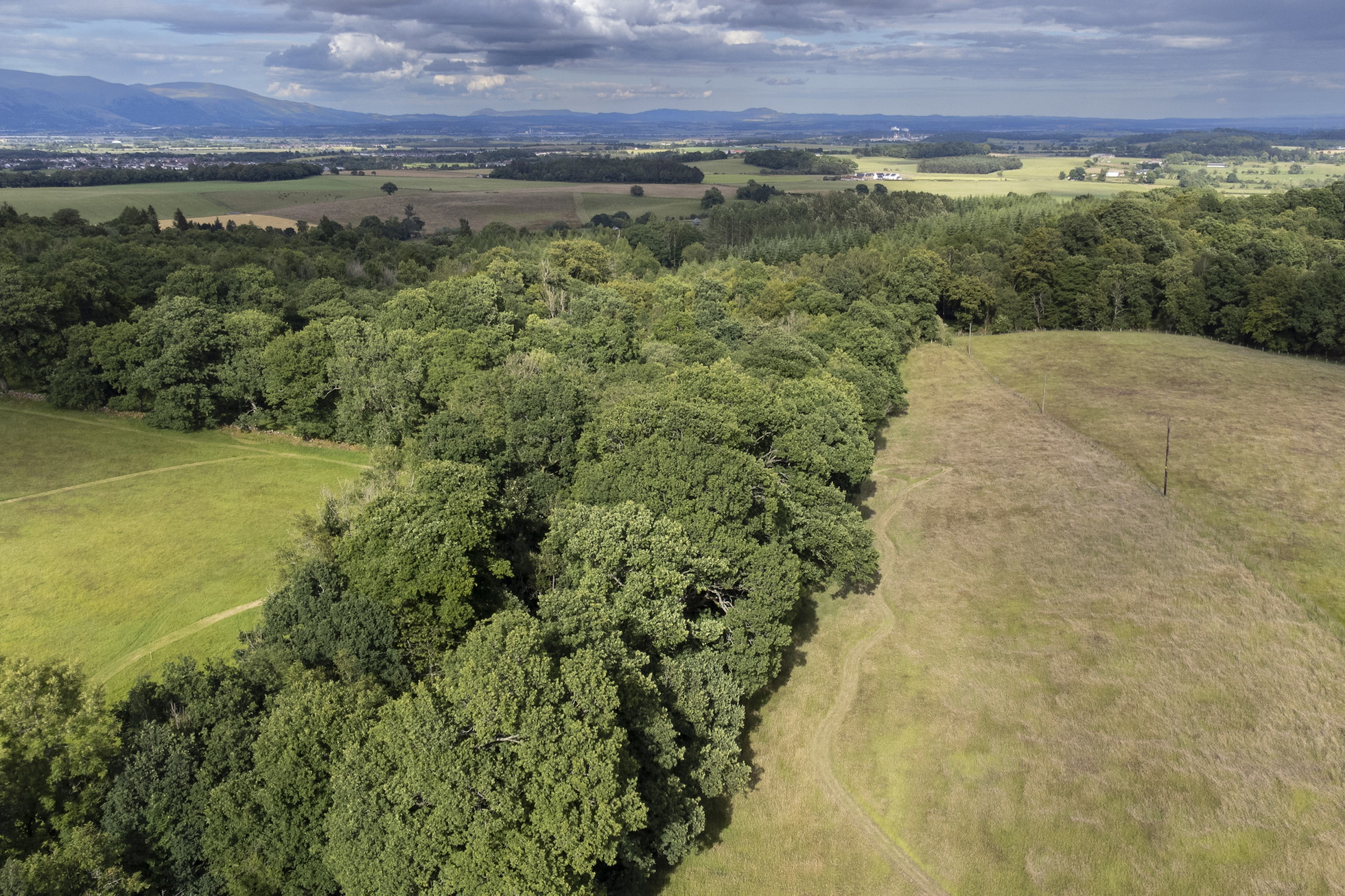 NRN PARTNER: Sauchie Home Farm NRN PARTNER: Sauchie Home Farm