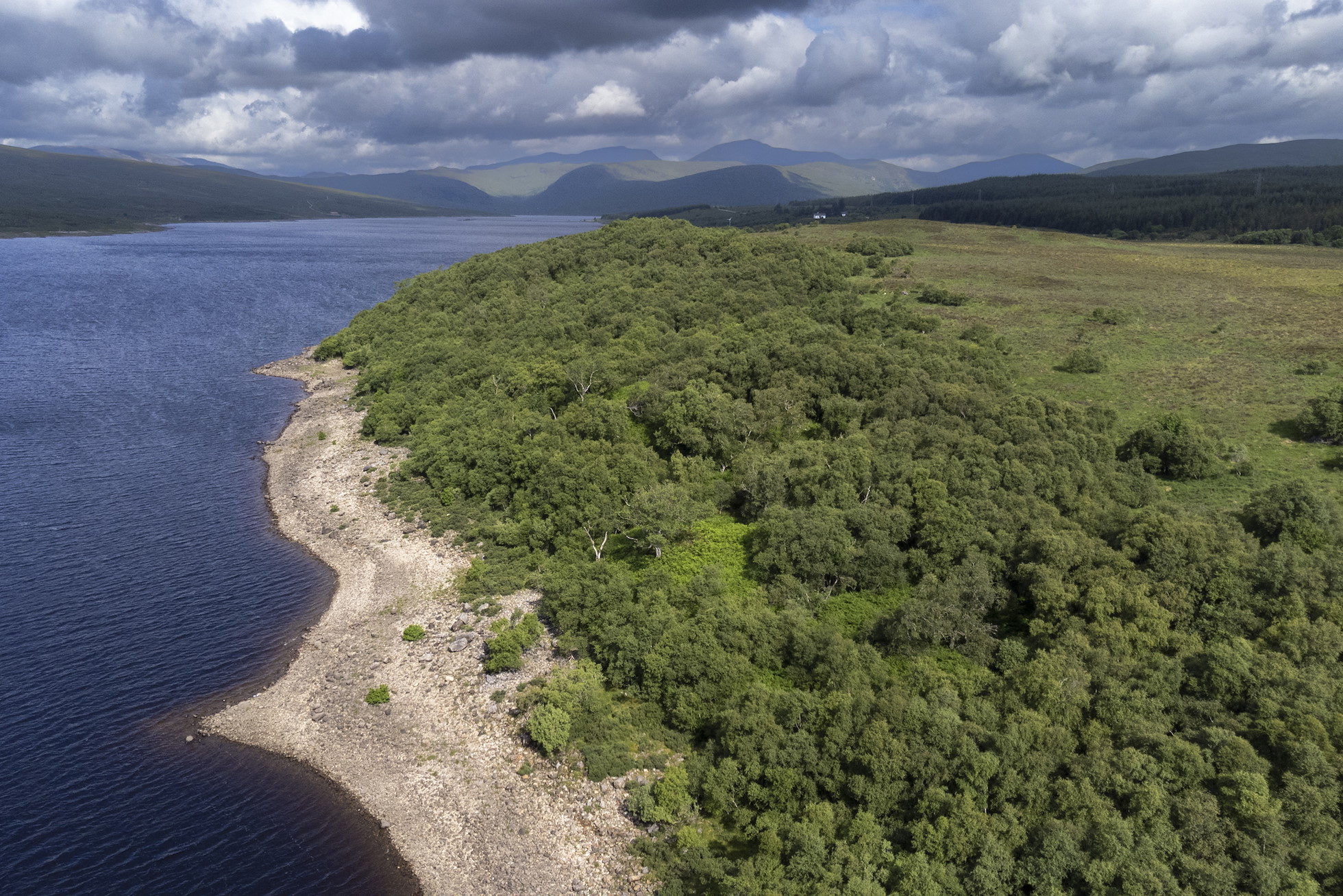 NRN PARTNER: East Overscaig NRN PARTNER: East Overscaig
