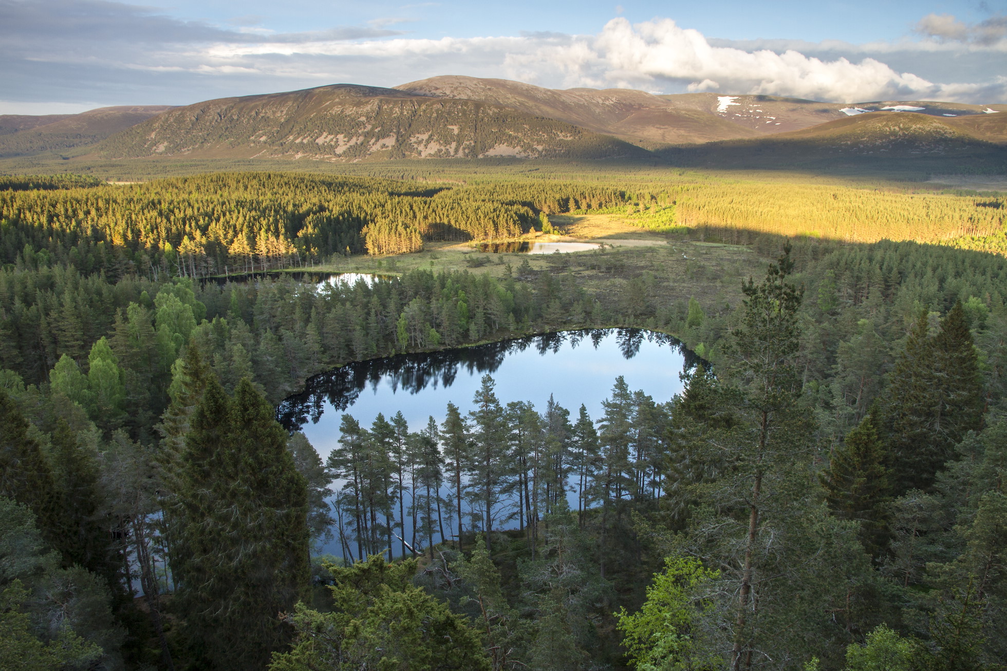 Cairngorms Rewilding - Rewilding Retreat - Experience rewilding in the heart of the Scottish Highlands Cairngorms Rewilding - Rewilding Retreat - Experience rewilding in the heart of the Scottish Highlands