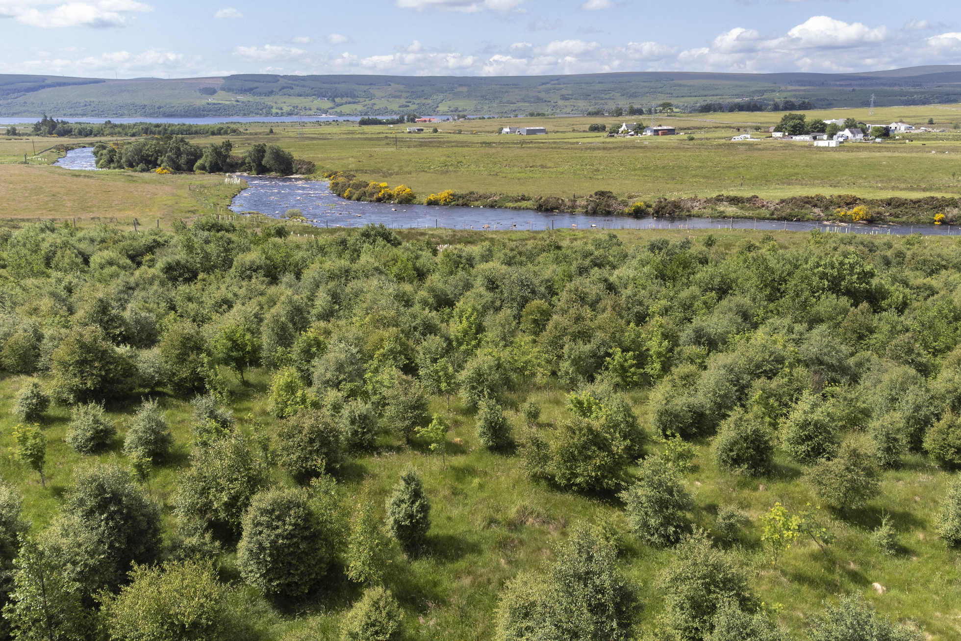 NRN PARTNER: Tirryside Broch & Dalchork Woodlands NRN PARTNER: Tirryside Broch & Dalchork Woodlands